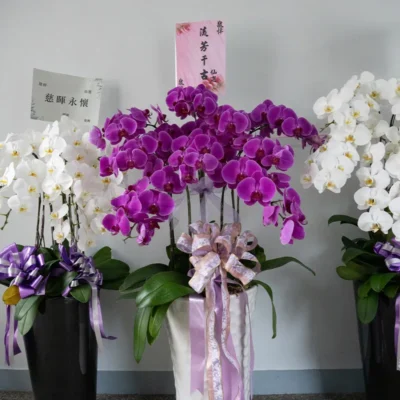 喪禮蘭花B_弘曜花藝版權所有