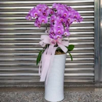 喪禮蘭花G_弘曜花藝版權所有