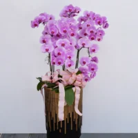 喪禮蘭花I_弘曜花藝版權所有