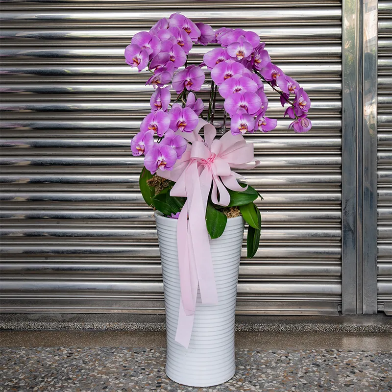 喪禮蘭花L_弘曜花藝版權所有