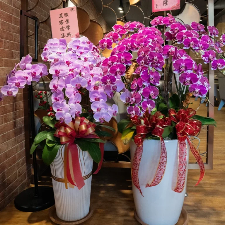 祝賀蘭花A-1_弘曜花藝版權所有