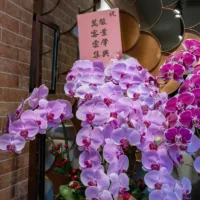 祝賀蘭花A-2_弘曜花藝版權所有