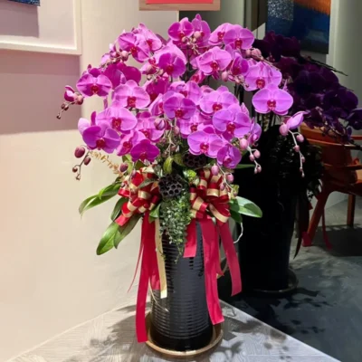 祝賀蘭花J_弘曜花藝版權所有