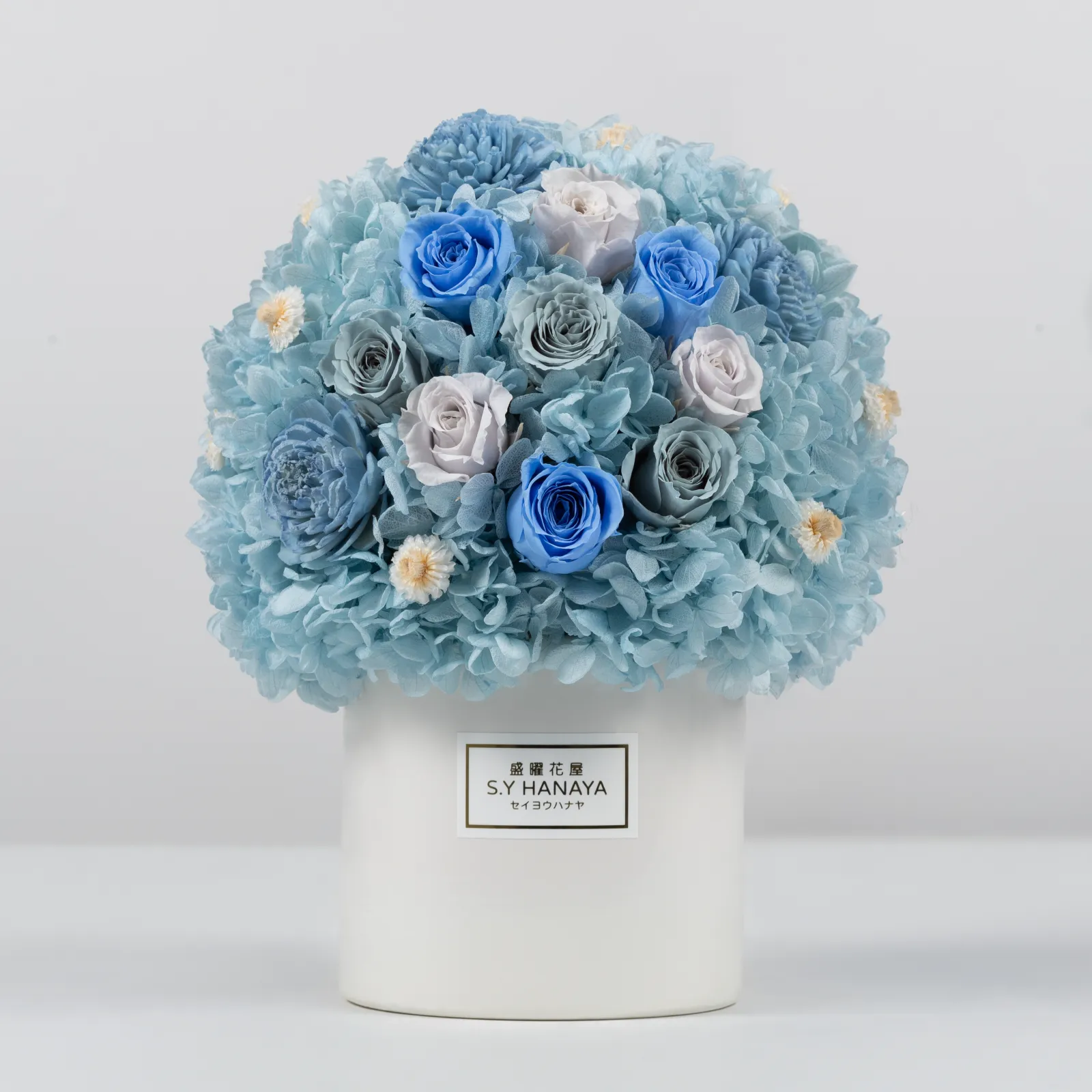 永生盆花 #PVM003-1