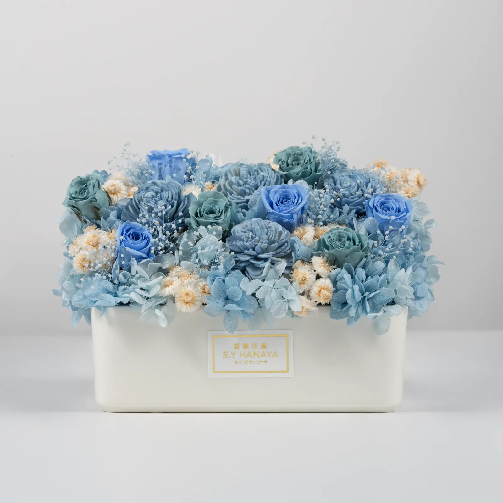 永生盆花 #PVM005-1