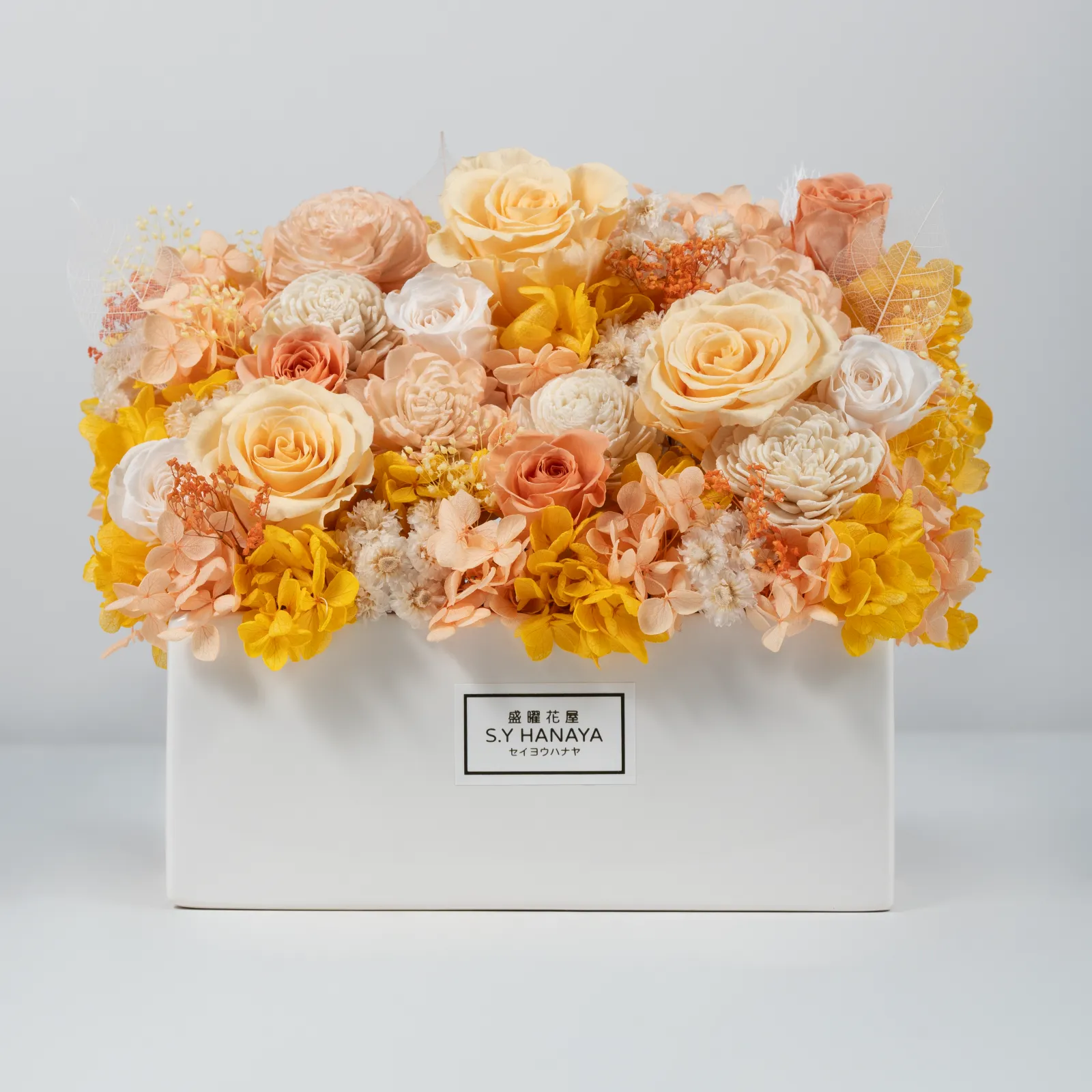 永生盆花 #PVM007-1