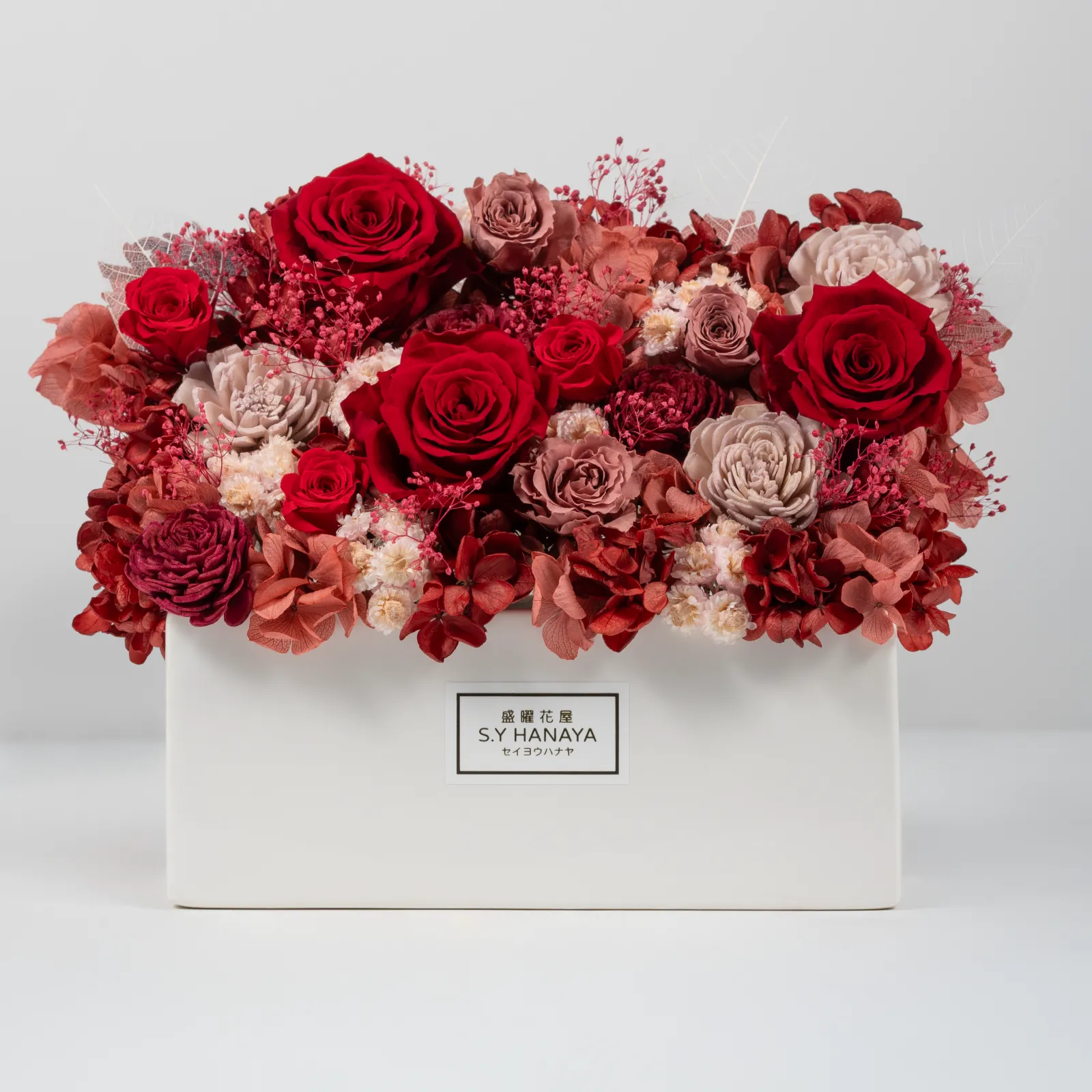 永生盆花 #PVM008-1