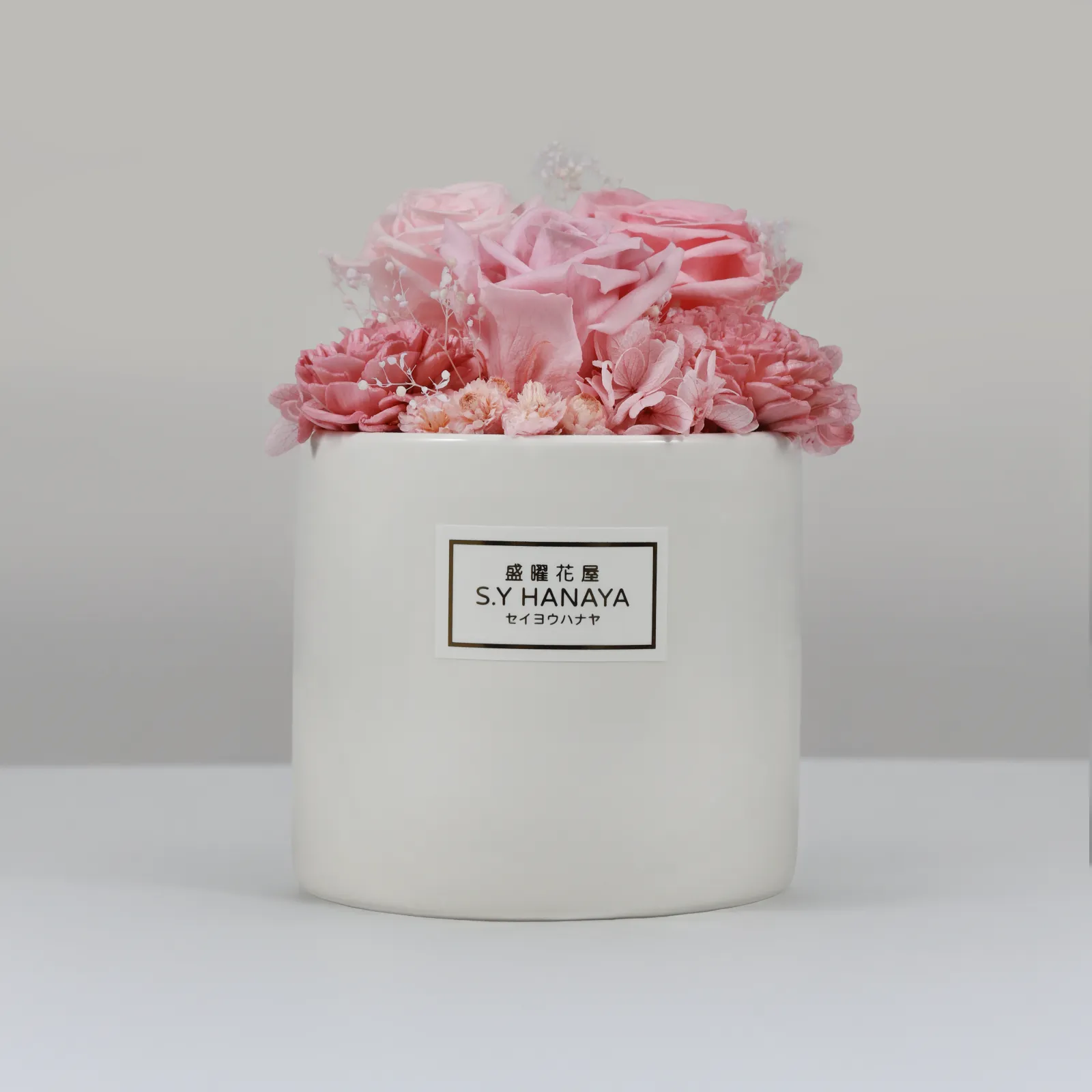 永生盆花 #PVS014-1