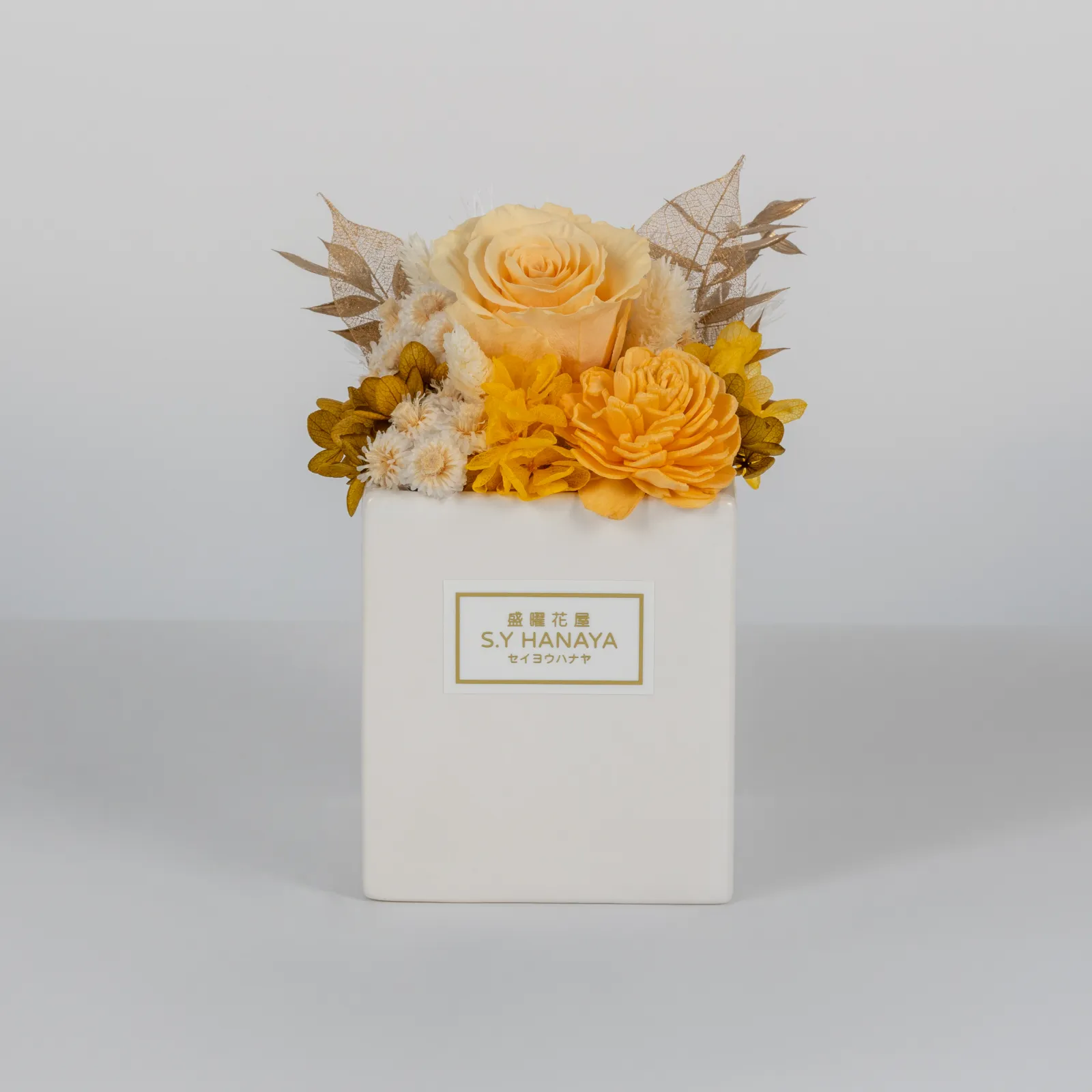 永生盆花 #PVS015-1