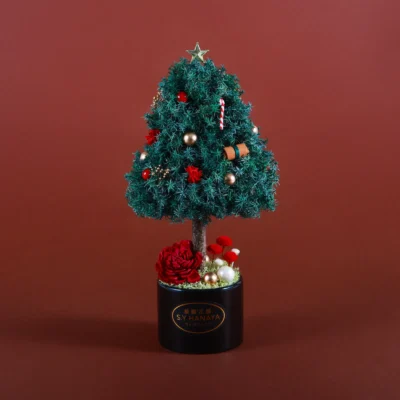 聖誕永生花禮 #CMP002-1