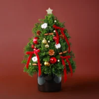 聖誕鮮花花禮 #CMF003-1