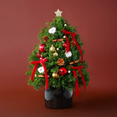 聖誕鮮花花禮 #CMF003-1