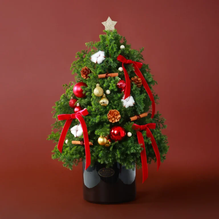 聖誕鮮花花禮 #CMF003-1