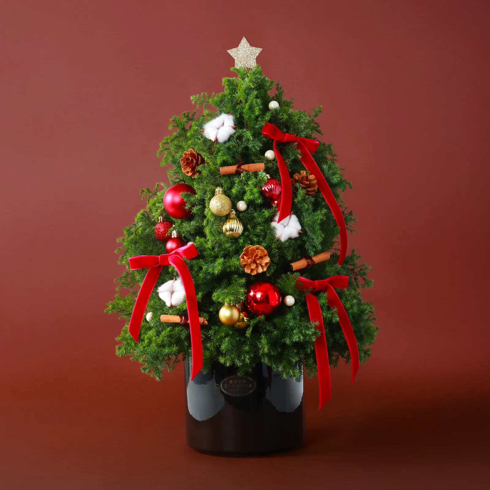 聖誕鮮花花禮 #CMF003-1