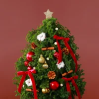 聖誕鮮花花禮 #CMF003-2