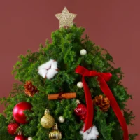 聖誕鮮花花禮 #CMF003-3