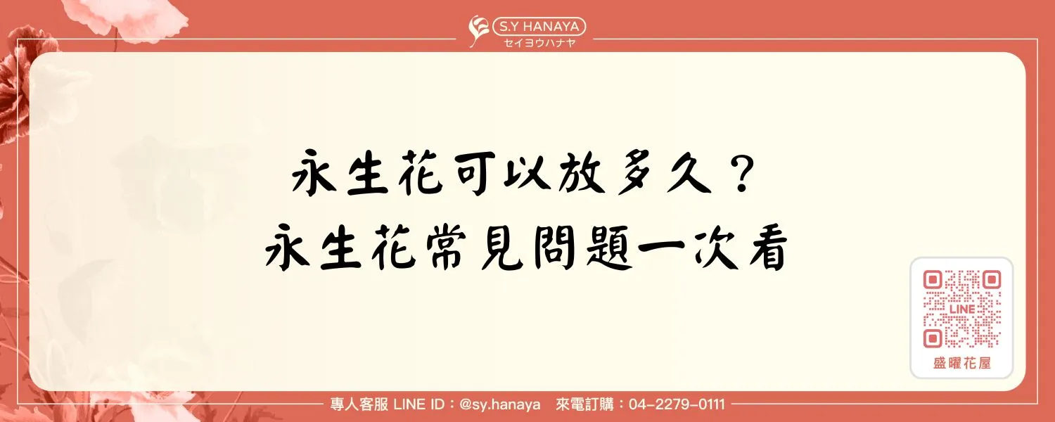 永生花可以放多久？永生花常見問題一次看